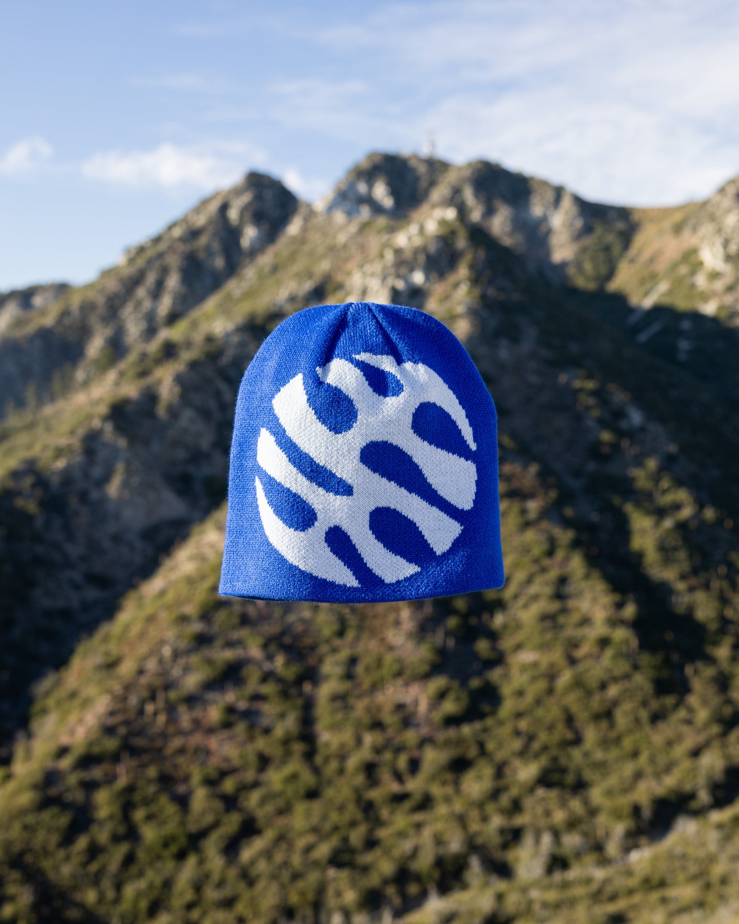 Blue Waymark Beanie