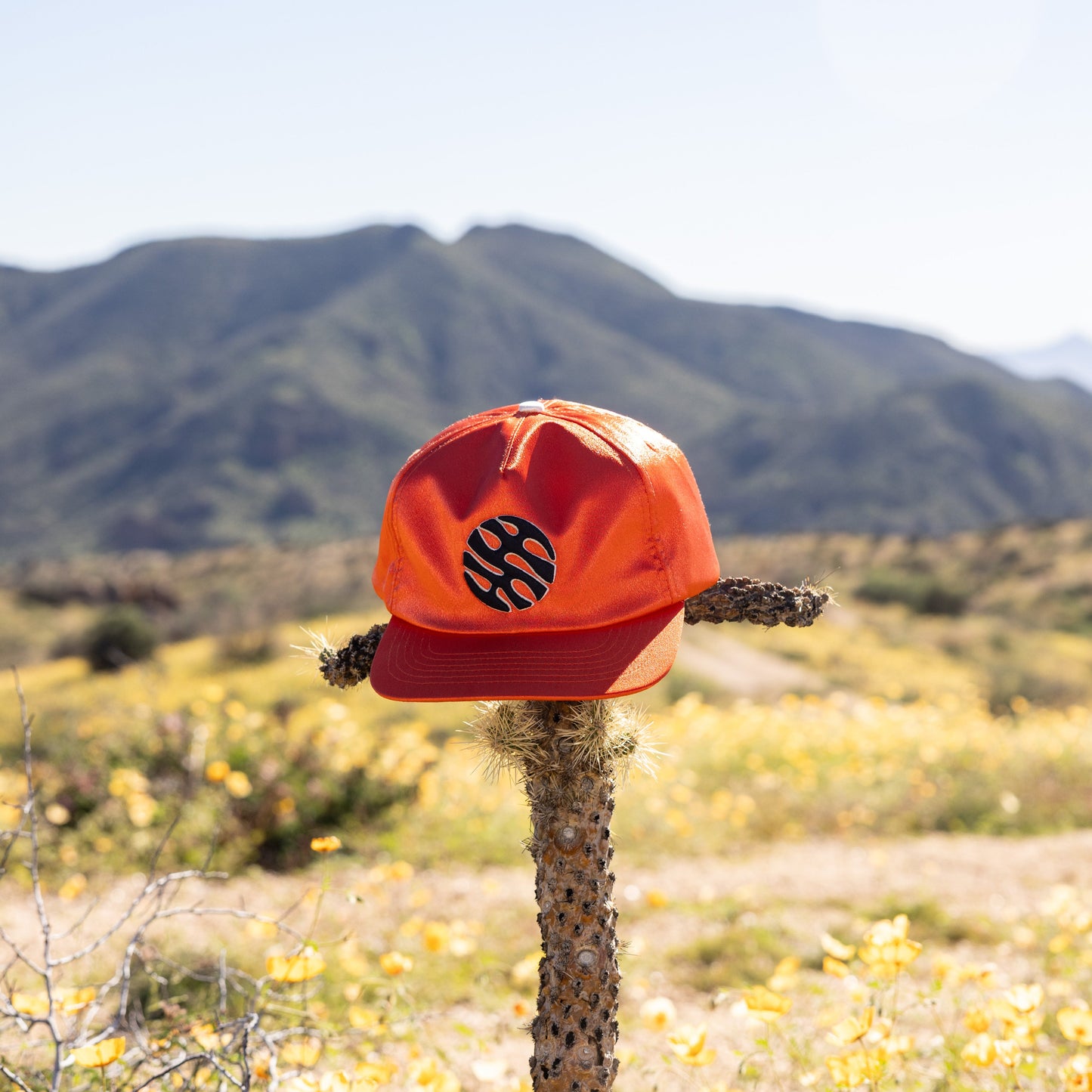 Waymark Cap